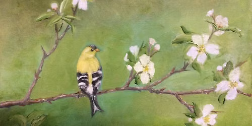 Finch Class- Jim Powell