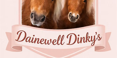 Pony fun Sundays - A heart warming pony experience.