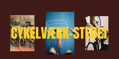 Cykelworkshop