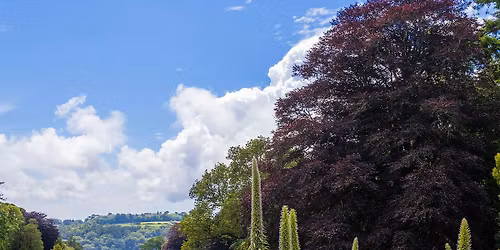 Member Summer Garden Tour