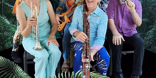 Django in the Djungle on a Sunday afternoon at Billycart Brewing Co