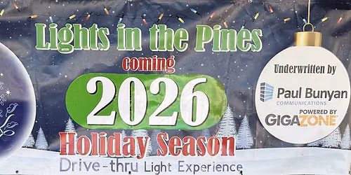 LIGHTS IN THE PINES