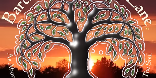 the butterfly and ivy fayre