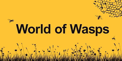 World of Wasps: Grant Museum Lates