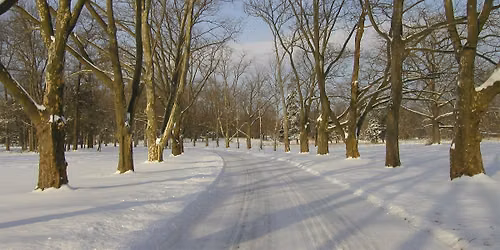Winter Solstice Walk