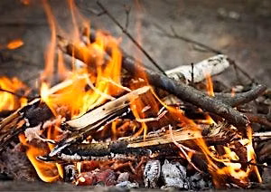 Stone Age Survival at Brockholes Nature Reserve - Thursday 13th August 2026