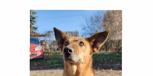 Niechciana... Niekochana... Schronisko, ulica, teraz gminna przechowalnia...Tak bardzo chc\u0119 mie\u0107 dom