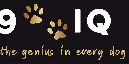 Canine Cognition Workshop