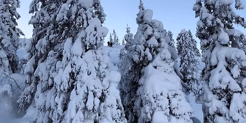 Tour of Gudbrandsdalen Splitboard Edition | 13-15 mars 2026