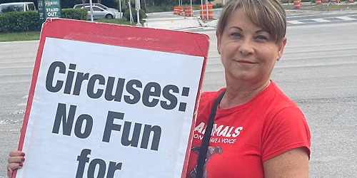 Kissimmee: Protest Loomis Bros. Circus- 3 Days