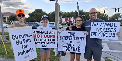 Kissimmee: Protest Loomis Bros. Circus- 2 Days