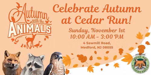 Autumn with the Animals
