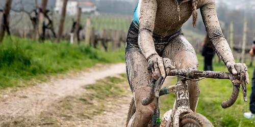 Nicole Frain & Nathan Earle Q&A