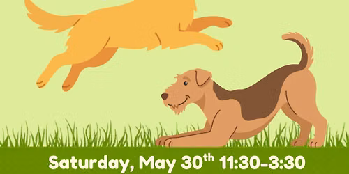 Dog Field Day @ Lizzi & Rocco's