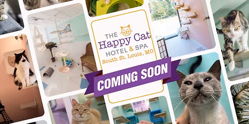 Happy Cat Grand Open!