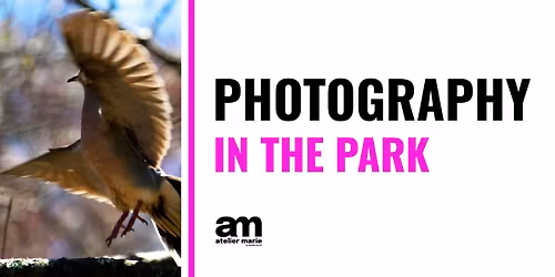 Photography in the Park (Prospect Park)