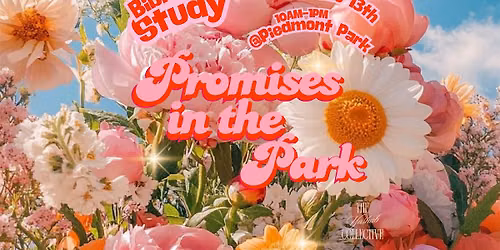 Promises In The Park