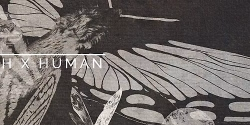 Moth morning - Moth X Human
