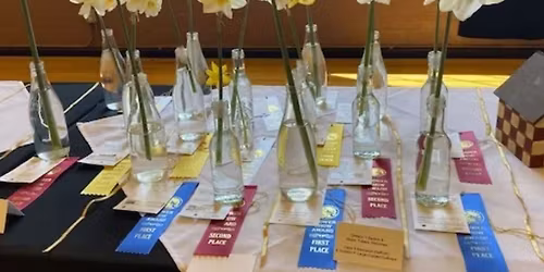 Holland Garden Club Tulip Time Flower Show: Windmills & Wooden Shoes