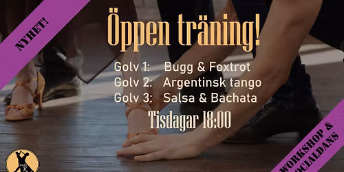 Sista danstr\u00e4ningen p\u00e5 3 golv:  Bugg & fox \/ Salsa \/ Tango