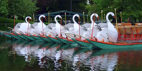 Parking Swan Lake - Boston