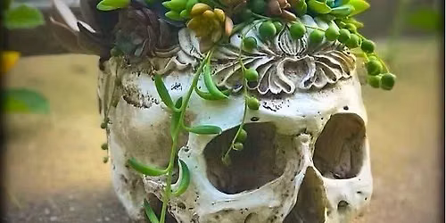 Succulent Skull Garden Workshop