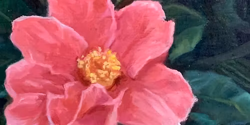 SINGLE CLASS - Crash Course Colour