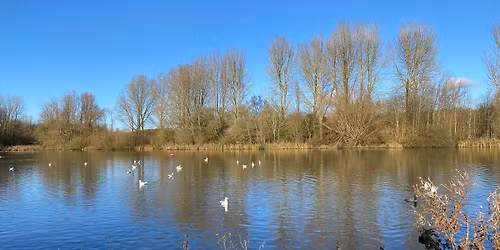 November Wildlife and Monitoring Walk (Ford Green Brook South)
