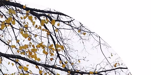 Loppis i S:t Lars församlingshem