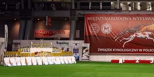 DUO CACIB Kielce + Terriers Club Show + Samoyed Specialty Show