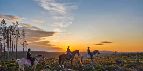 Lapland Horseback Retreat \u2013 3-Day Summer Getaway