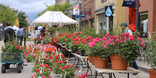 Northville Flower Sale