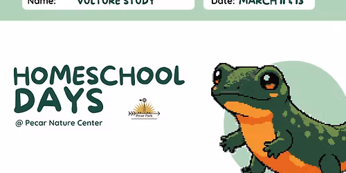 Homeschool Days - Salamander Study