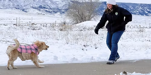 First Day Hikes - Edness Kimball Wilkins State Park
