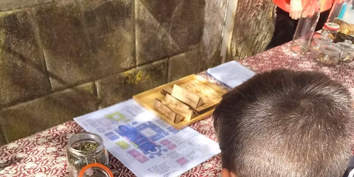 [Atelier] D\u00e9couverte des jardins m\u00e9di\u00e9vaux