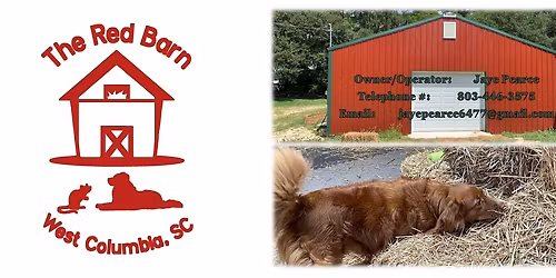 The Red Barn December 2025 Barn Hunt Trial