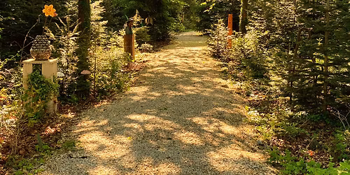 Golden Hour Evenings at The Cotswold Sculpture Park