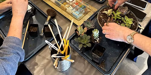 Spring Succulent Planting Workshop