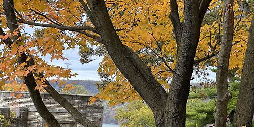 Early Morning Phone Photography with John Jacono - Oct 24, 8-9:30am