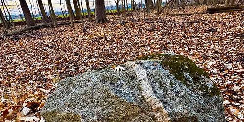 Geology Walk