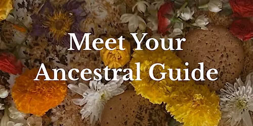 Meet Your Ancestral Guide