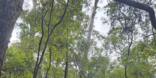 STRONGER TOGETHER \u2014 A Collaborative Exhibition