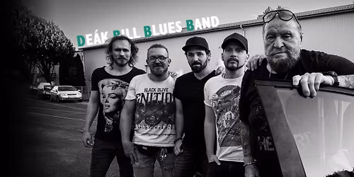 Zen\u00e9s est\u00e9k a Balaton v\u00e1r\u00e1ban - De\u00e1k Bill Blues Band