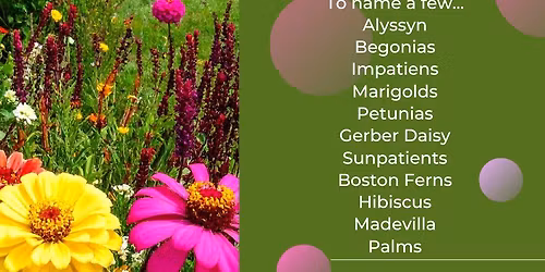 Spring Plant and Flower Sale