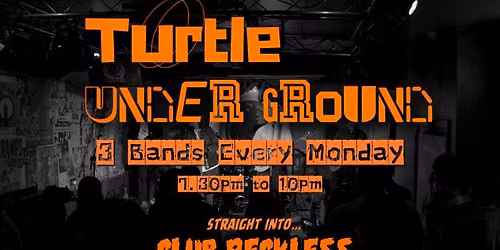 Turtle Underground