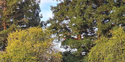 Community Conversation with Sandra White - Mira Vista Hills Park