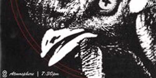 Salford Snow 2025 Chicken Run