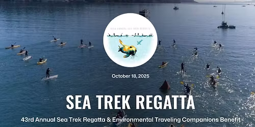 43rd Sea Trek & ETC Regatta
