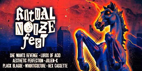 RITUAL NOIZE FEST 2026 | REELWORKS | 18+