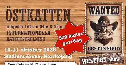 \u00d6stkattens utst\u00e4llning 10-11 oktober 2026